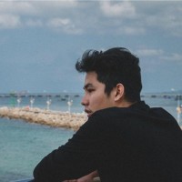 Hoang Nguyen Ho Son