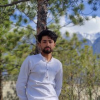 Shahzaib Ali