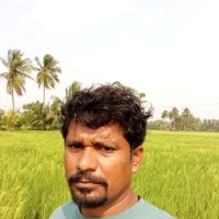 Pulikkalai Mapulikkalai