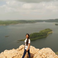 Vigna purohit