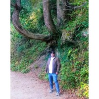 Tarique Hussain  (BS-SWE, MBA-SC)