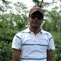Md. Shariful Islam