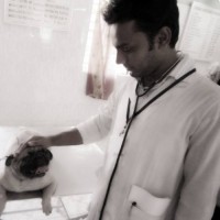 Dr.Amitav Sarker