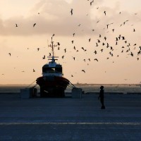 Loganathan Subramaniam