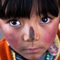 董培恩