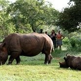 RhinoFund ZiwaSanctuary