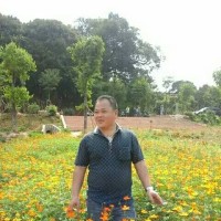 王道会