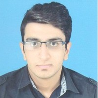 hamza nisar