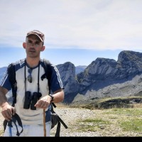 MARIO SUAREZ VICENTE