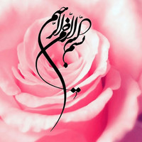 Nawal Aboud
