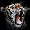 sriman thipparthi