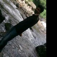 Nishanth Chandramohan