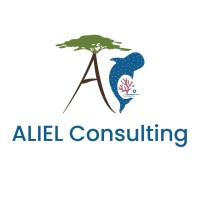 ALIEL Consulting