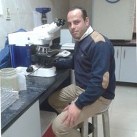 Mahmoud Elshahed