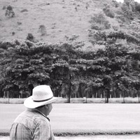 Hélio Oliveira Júnior