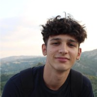 Davide Arleo