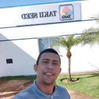 Italo Paiva