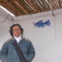 Emilson Oshikawa
