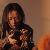周万莉