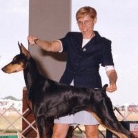 Carol Petruzzo Pa