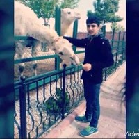 اسمي جمال وكلي جمال