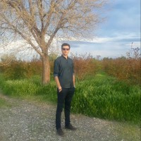 Hamed Mohamadzadeh
