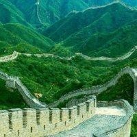 胡利涛