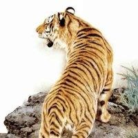 陈长培
