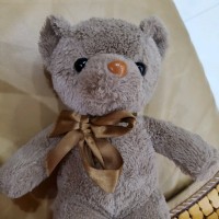 王元辰