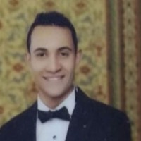 Mohammed Ibrahim Hassan