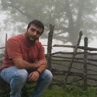 علی سلیمانی