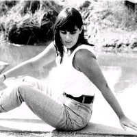 Maria Dulce Pena Luís
