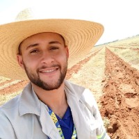 Felipe Giroto