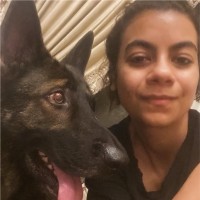 Noura Medany