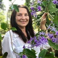 Evili W