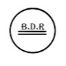 Bruno Dall'Aqua Rodrigues