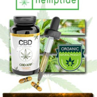 Cbd Xrp