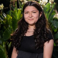 Jhennifer Celestino Alva