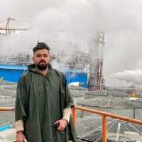 Kamyr Jamshidian