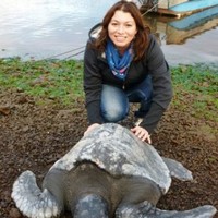 Carolina Sanhueza Rodríguez