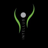INTELLUS DESIGN