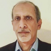 Ali Amini
