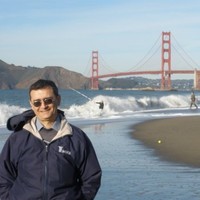 Davood Torshizi