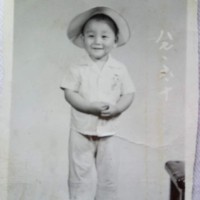 回春阳