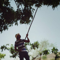 Mangesh R