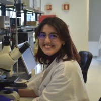 Catarina R. F. Caneira