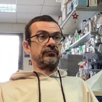 Andrea Maschio
