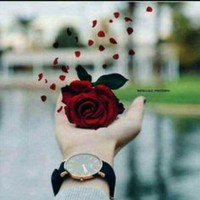 S Bushra