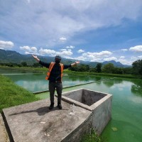Mario Enrique Perdomo Vásquez