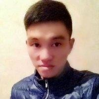 张书进